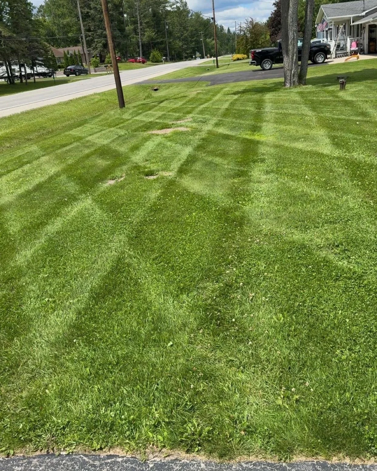 Lawn+1.jpg