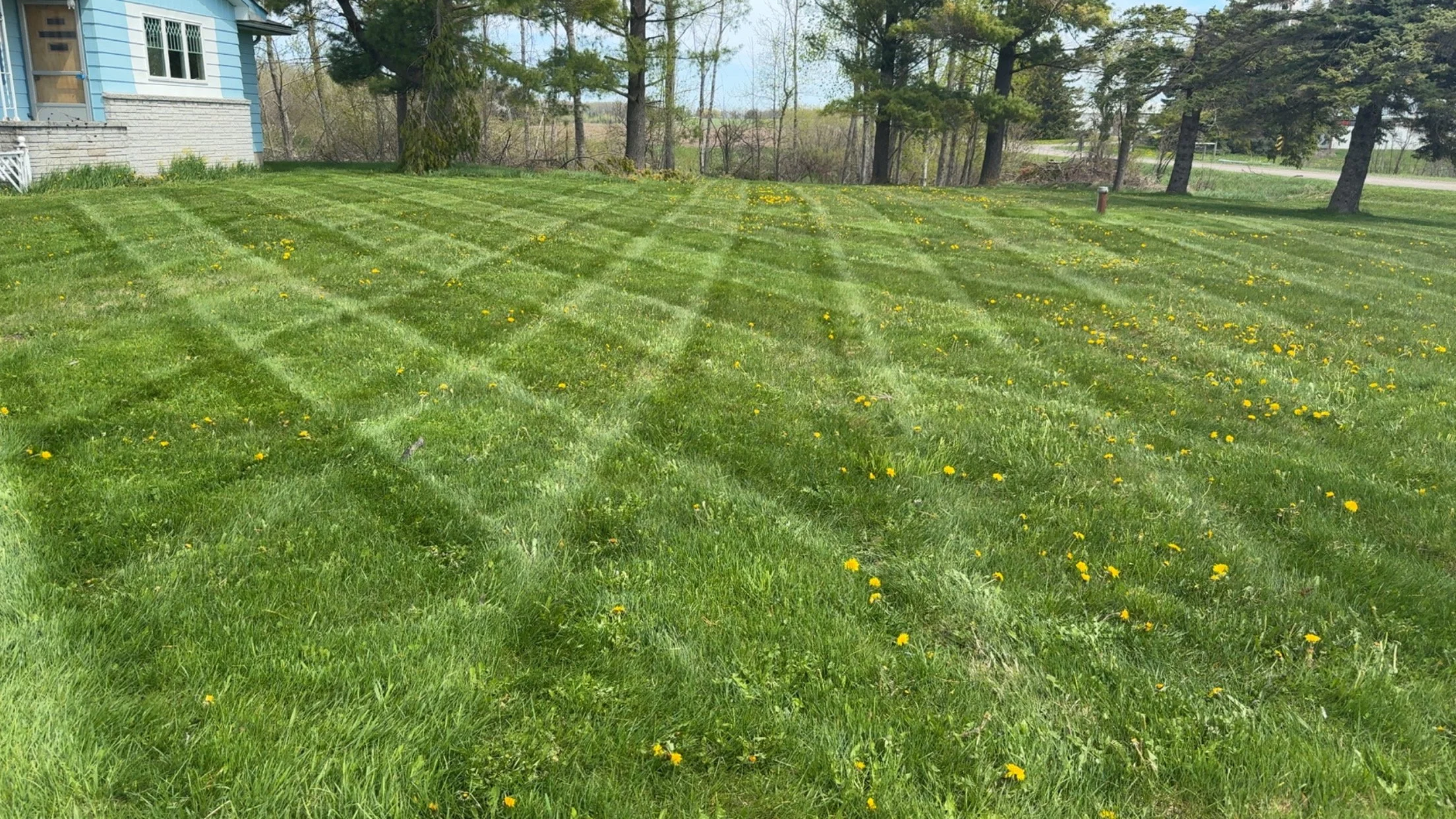 Lawn Services