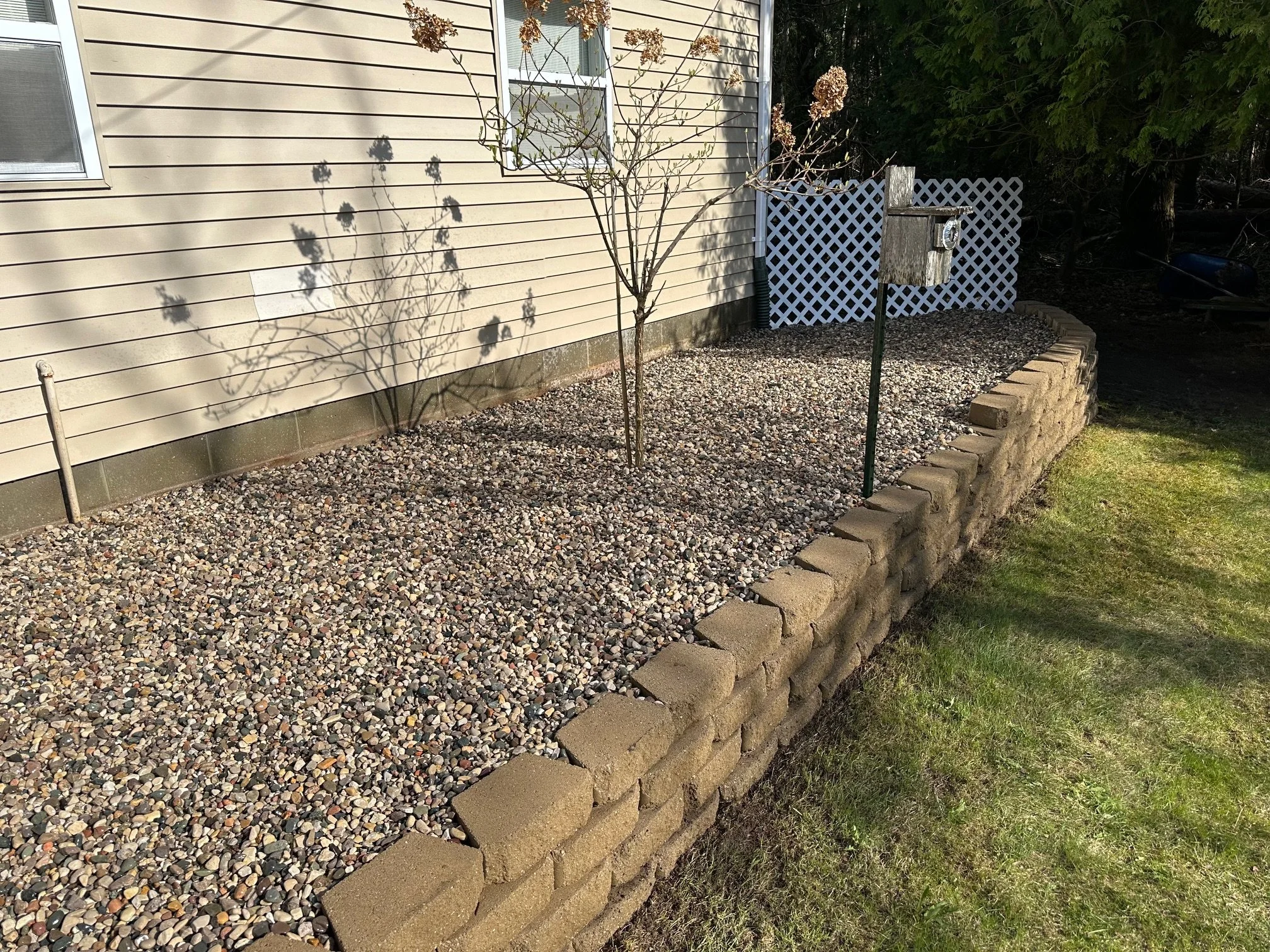 A small backyard garden with a young tree casting a shadow on the beige house siding, a white lattice fence, a wooden mailbox, and a stone-bordered gravel bed with grass on the side.