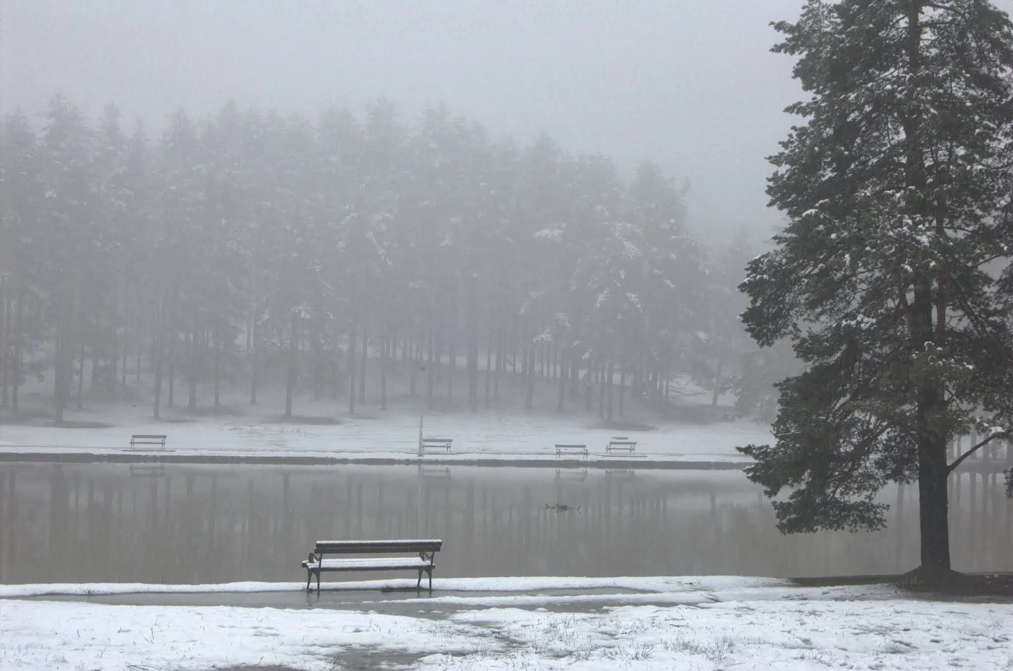 January 2009, Uzice (307).jpg