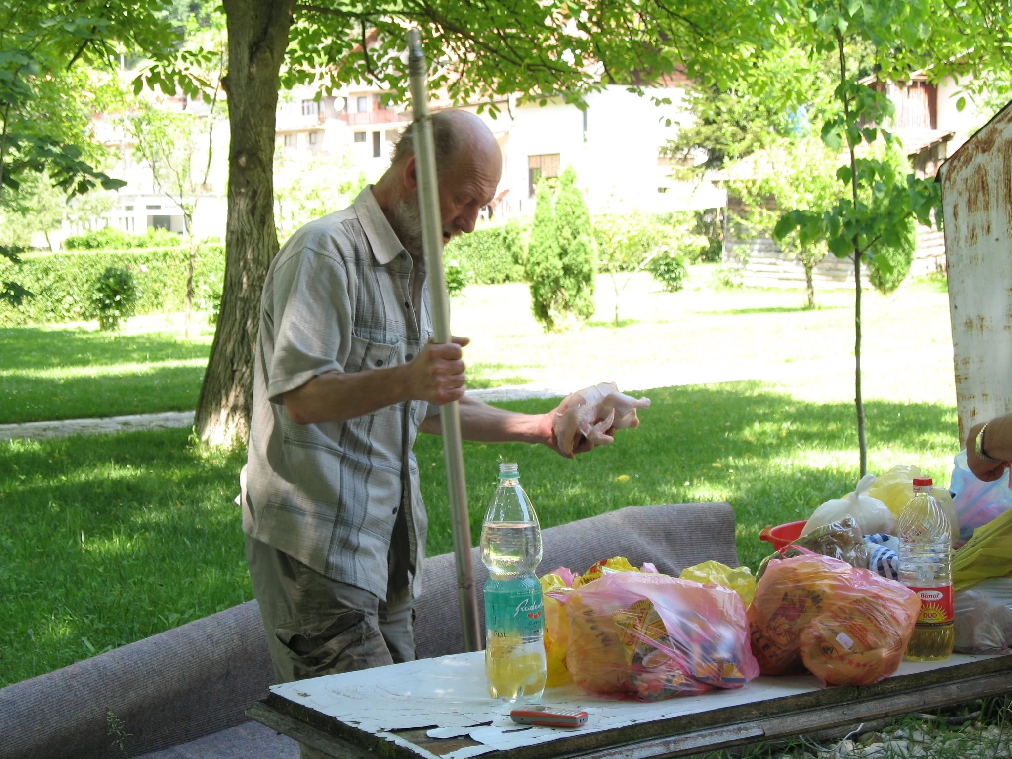 Picnic by the River Vrbas - Nebojša Zubović