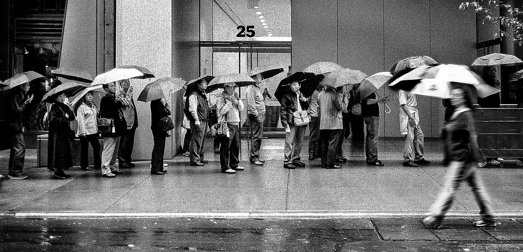 Umbrellas24.jpg