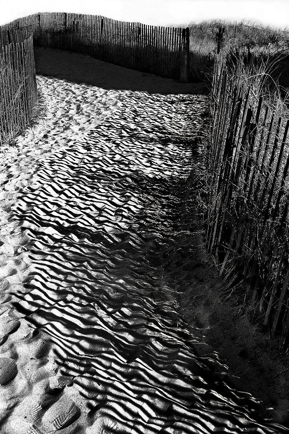 PathToTheBeach20-2.jpg
