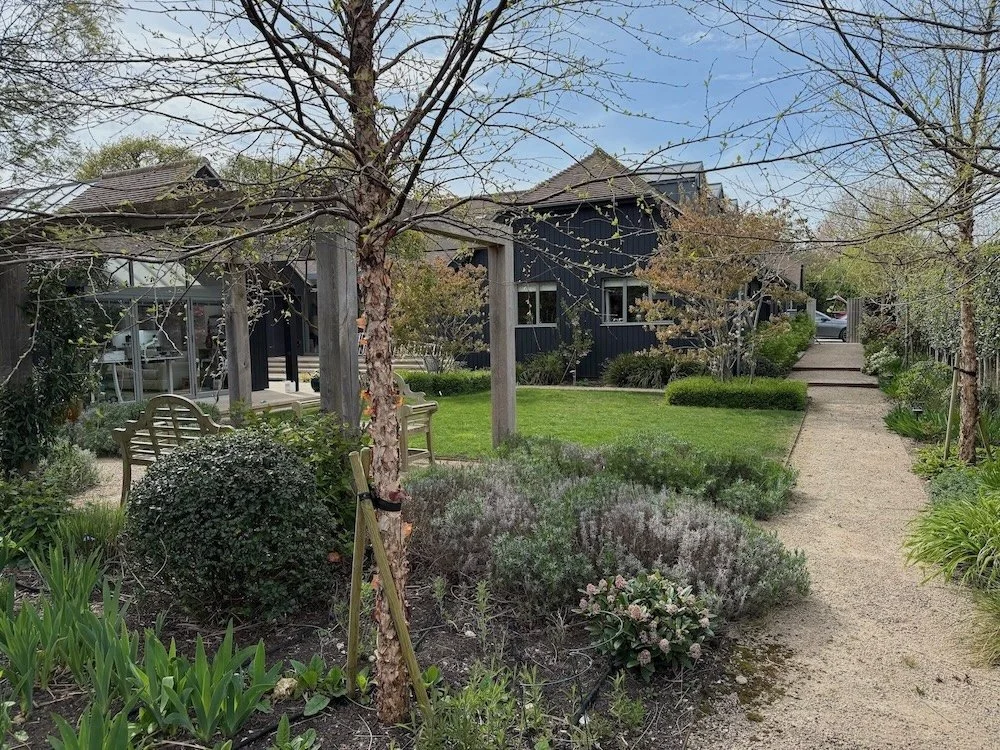 architectural-garden-landscaping-gravel-path-itchenor-west-sussex.jpeg