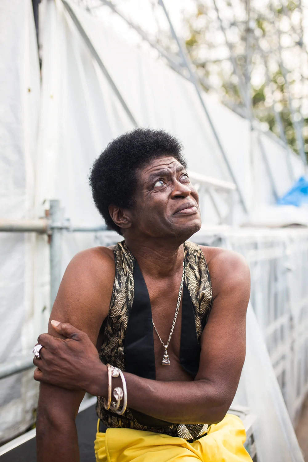 Charles Bradley (Copy)