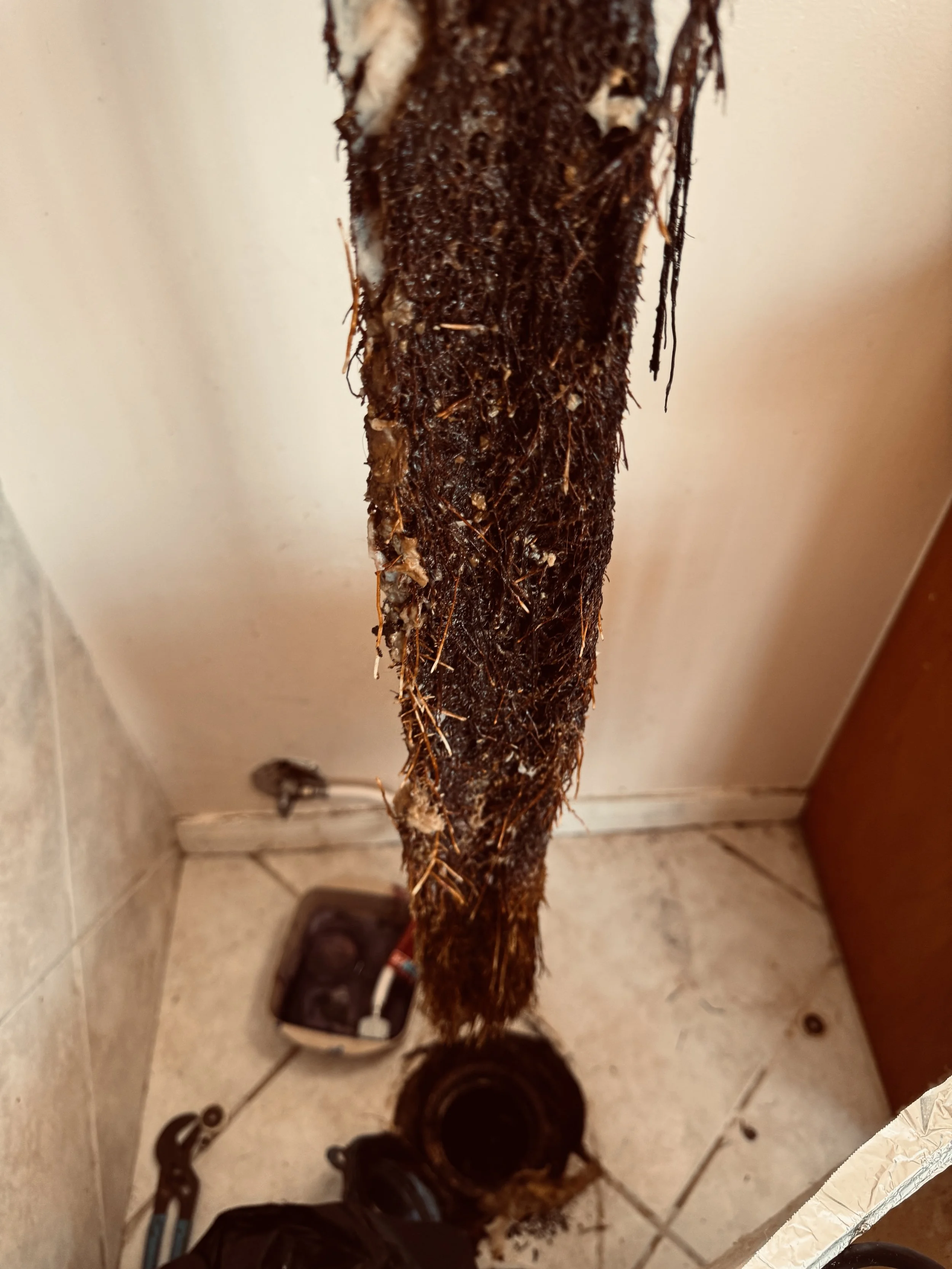 A close-up view of a dirty, mud-covered roots pulled from toilet flange against a wall on a tiled floor, with tools visible on the floor nearby.