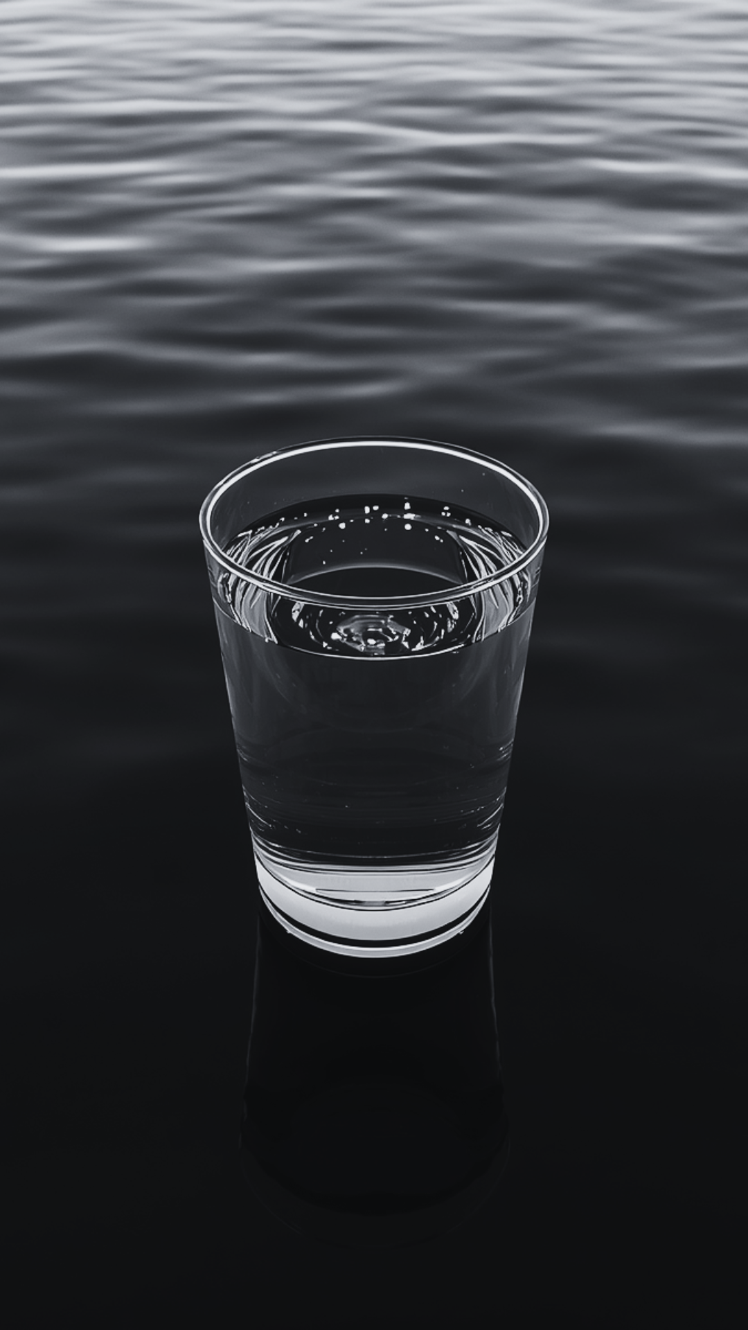 Book cover of The Ocean and the Glass by Gene Bowman