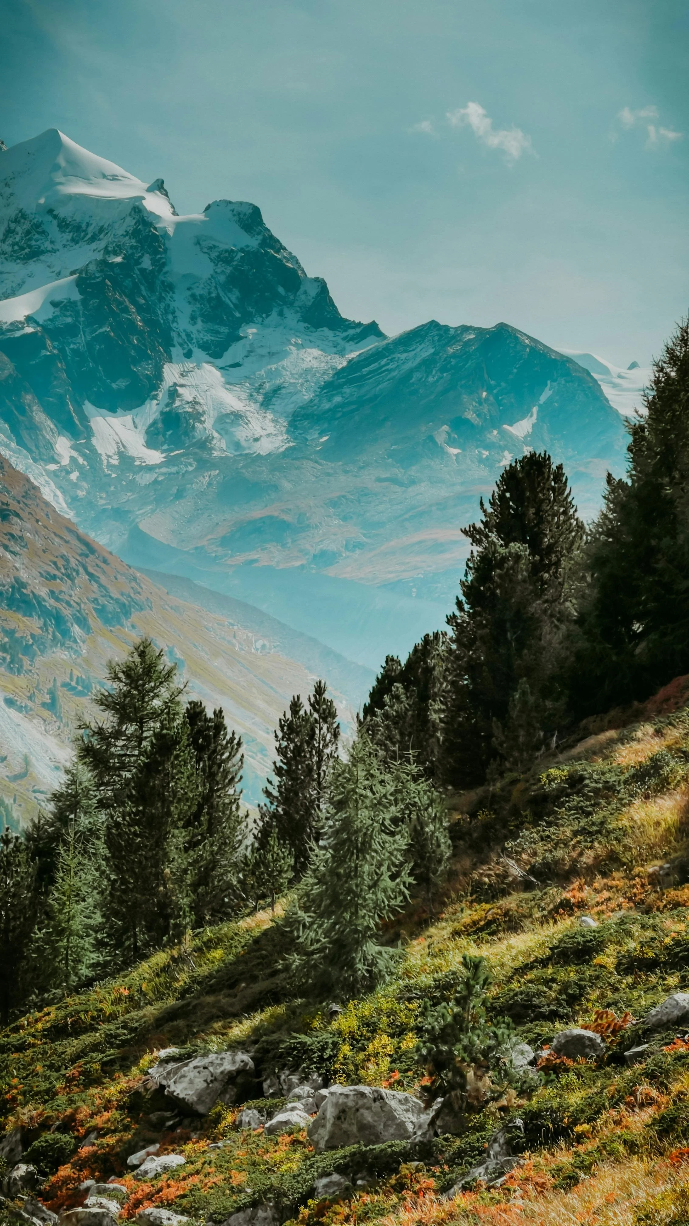 Haven, nature, safe therapy image.