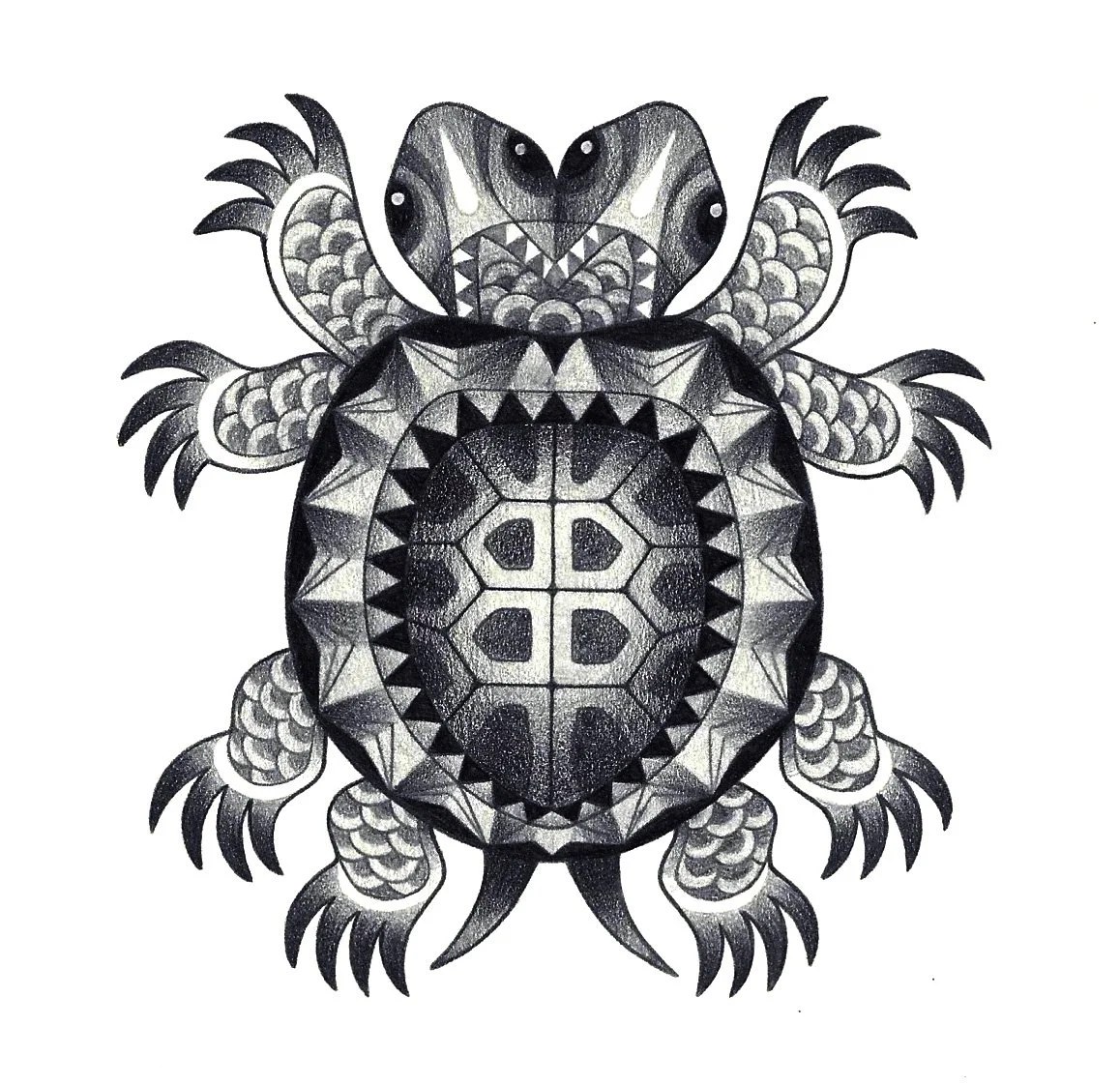 Turtle.jpg