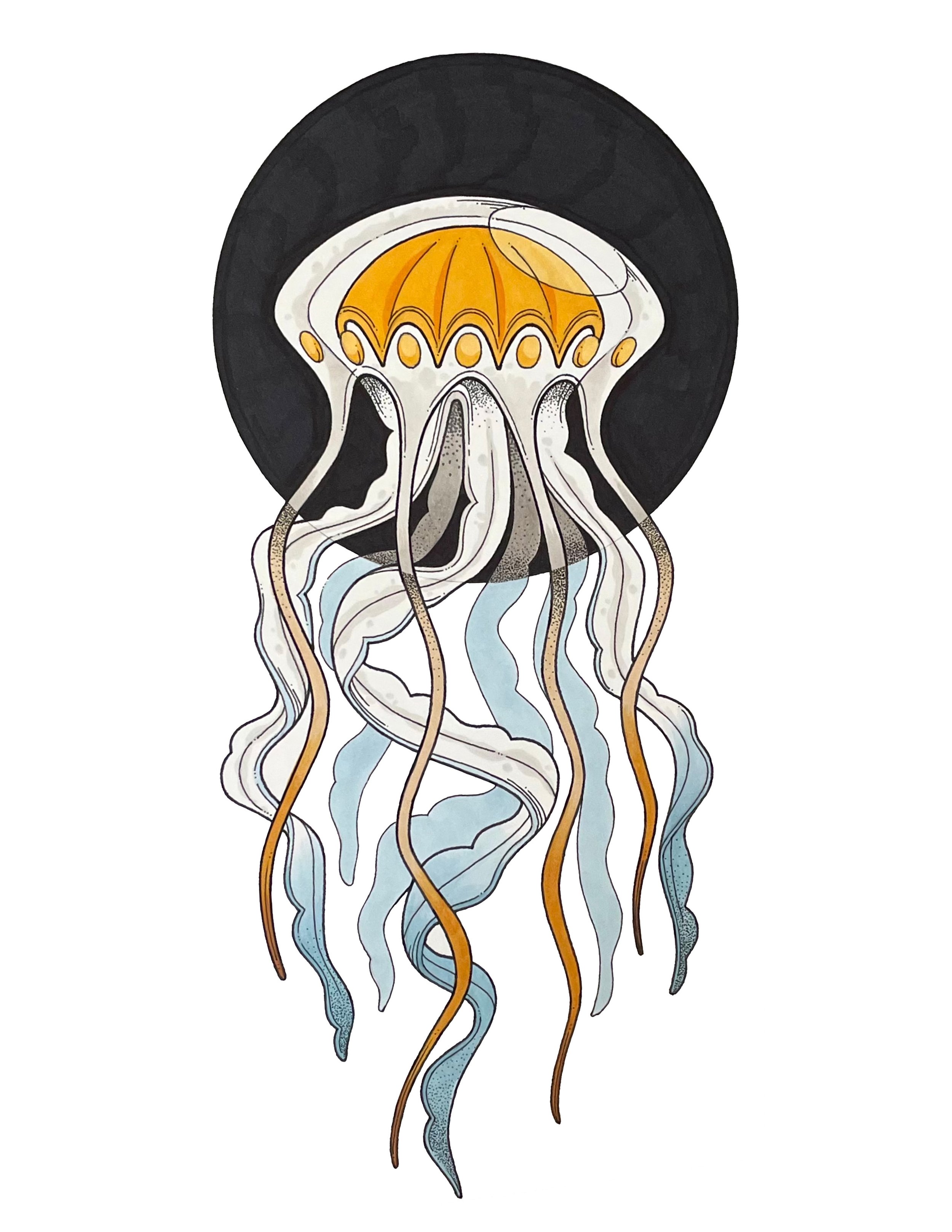 Jelly Fish_2.jpg