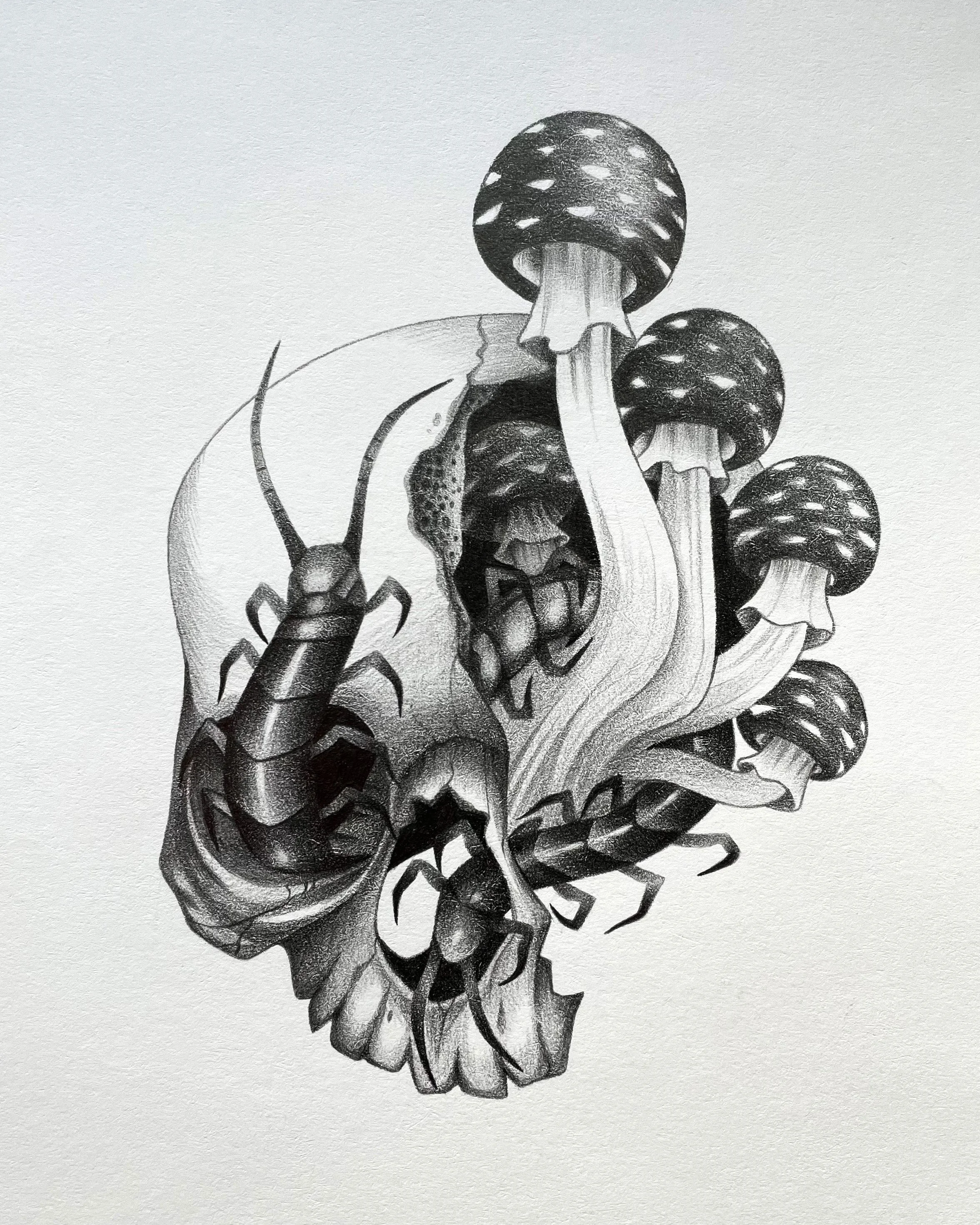 Skull.jpg