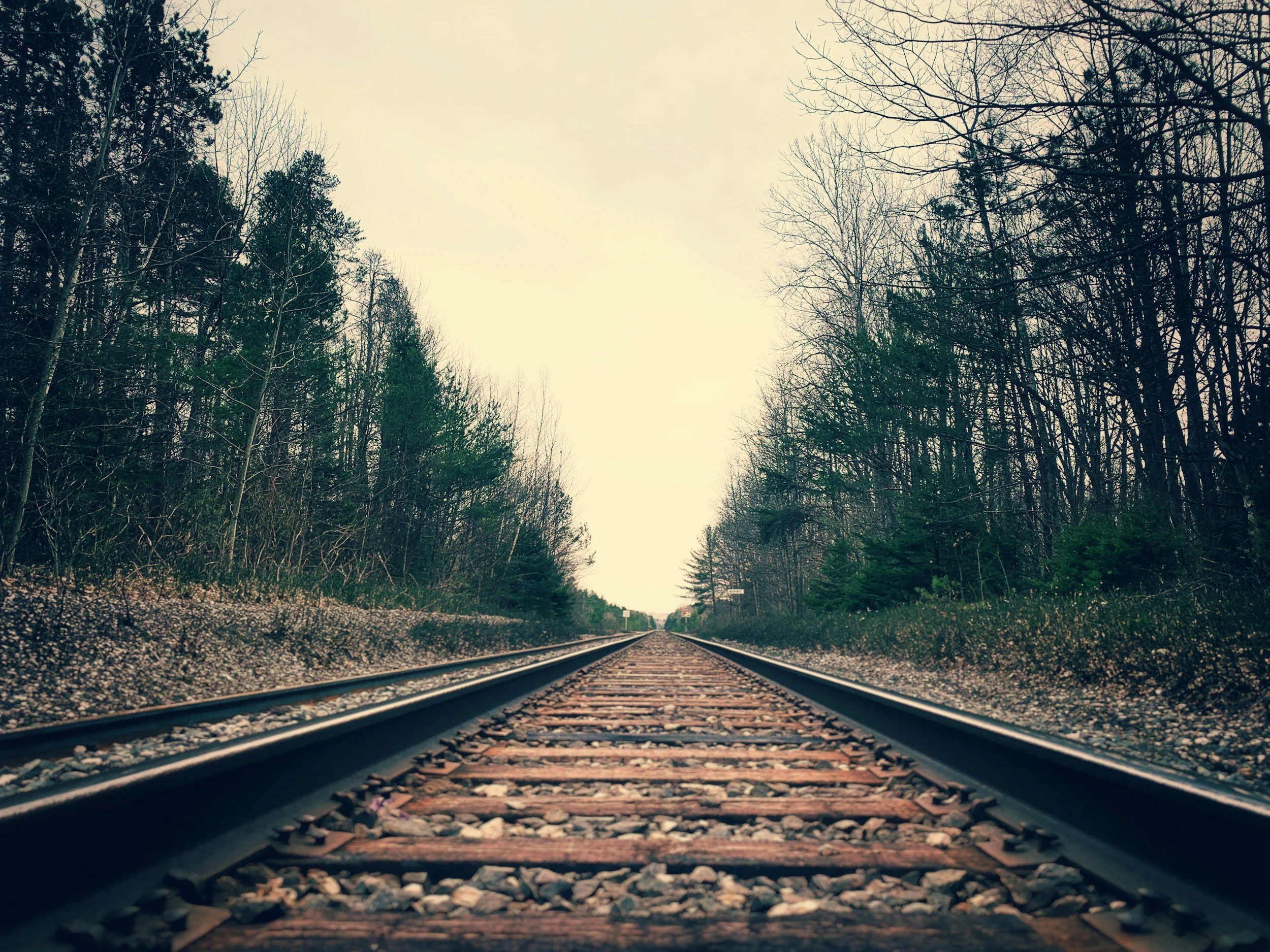 View of railroad tracks running through a wooded forest with trees on both sides, scene appears to be during late fall or early winter with bare branches and some evergreens, the sky is overcast.