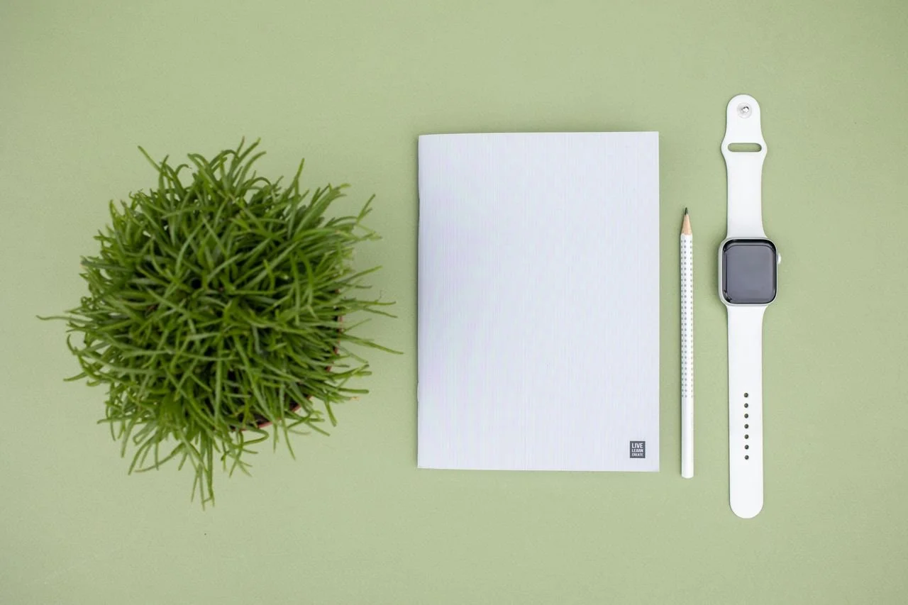 A green potted plant, a white notebook, a white pencil, and a white smartwatch on a light green background.