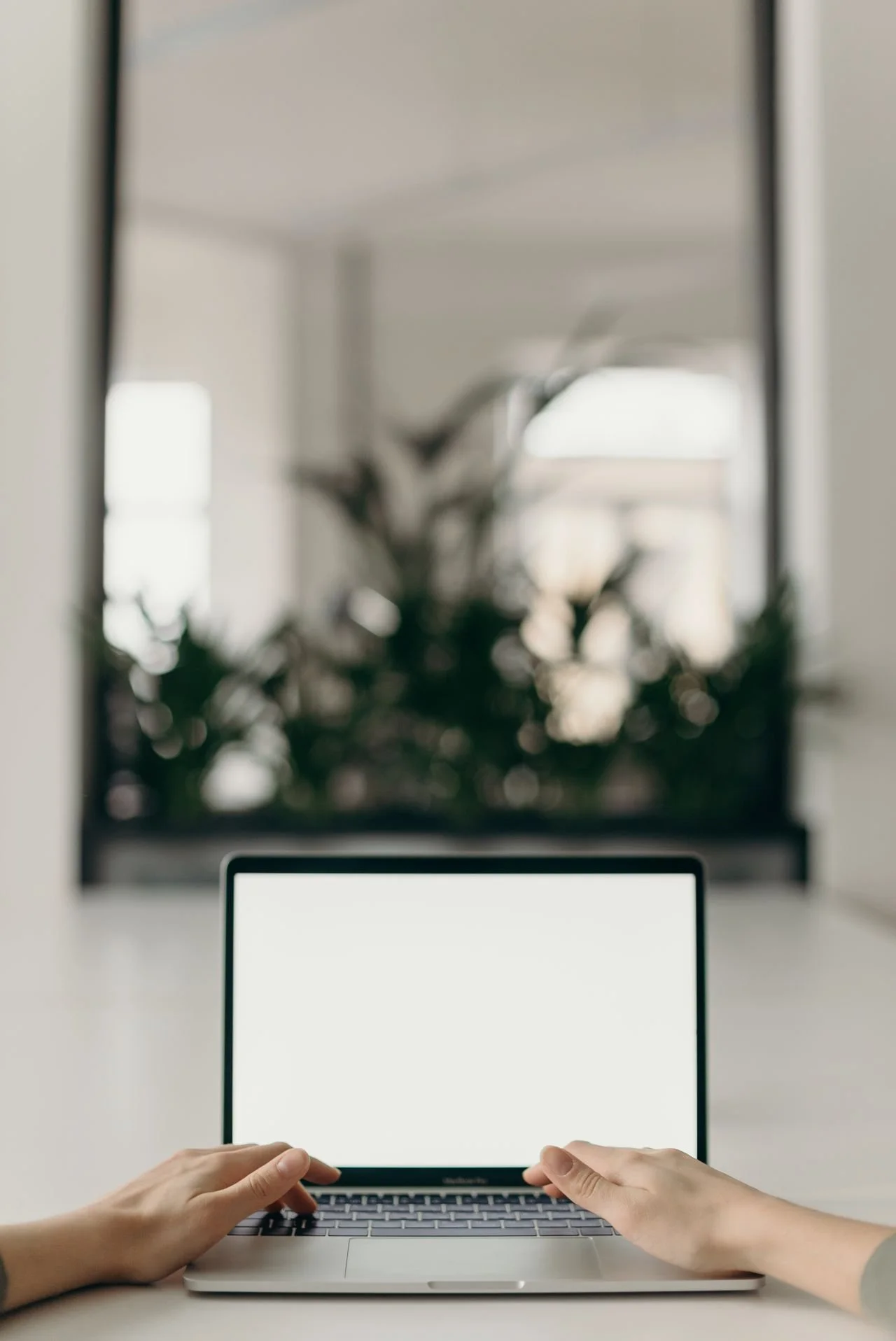 Person using a laptop computer with a blank screen in a bright, modern room with potted plants in the background.