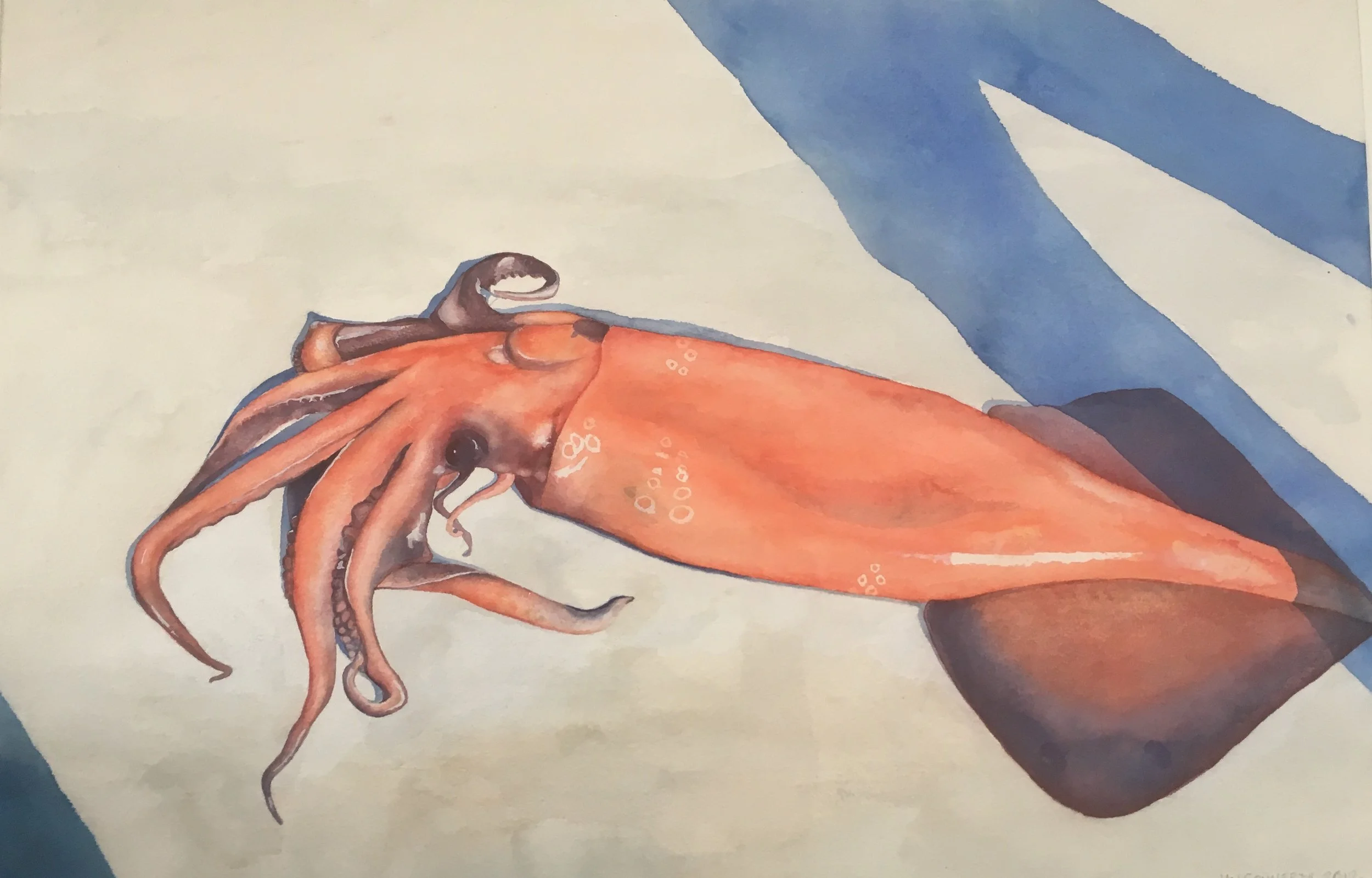 Humboldt #2, 2012
Watercolor, 24" 36"