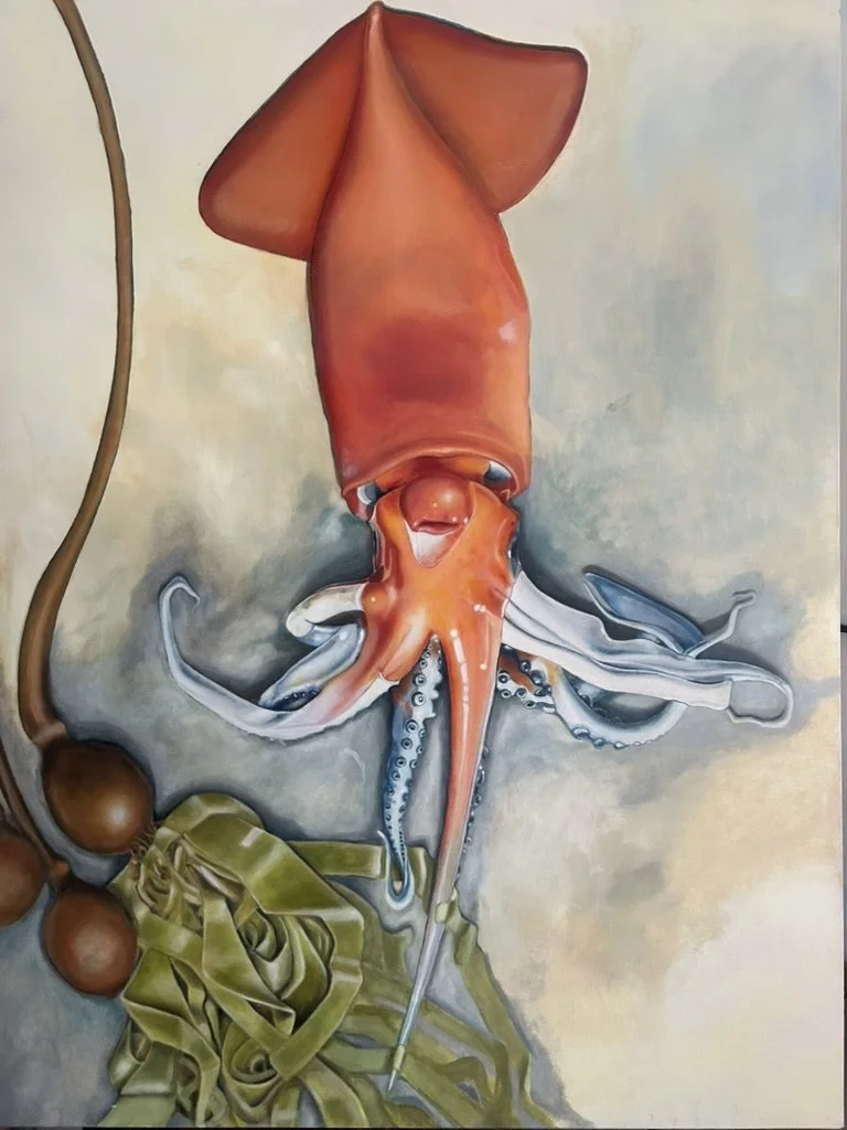 Humboldt Squid #3, 2026
Oil on Canvas, 48" x 36"