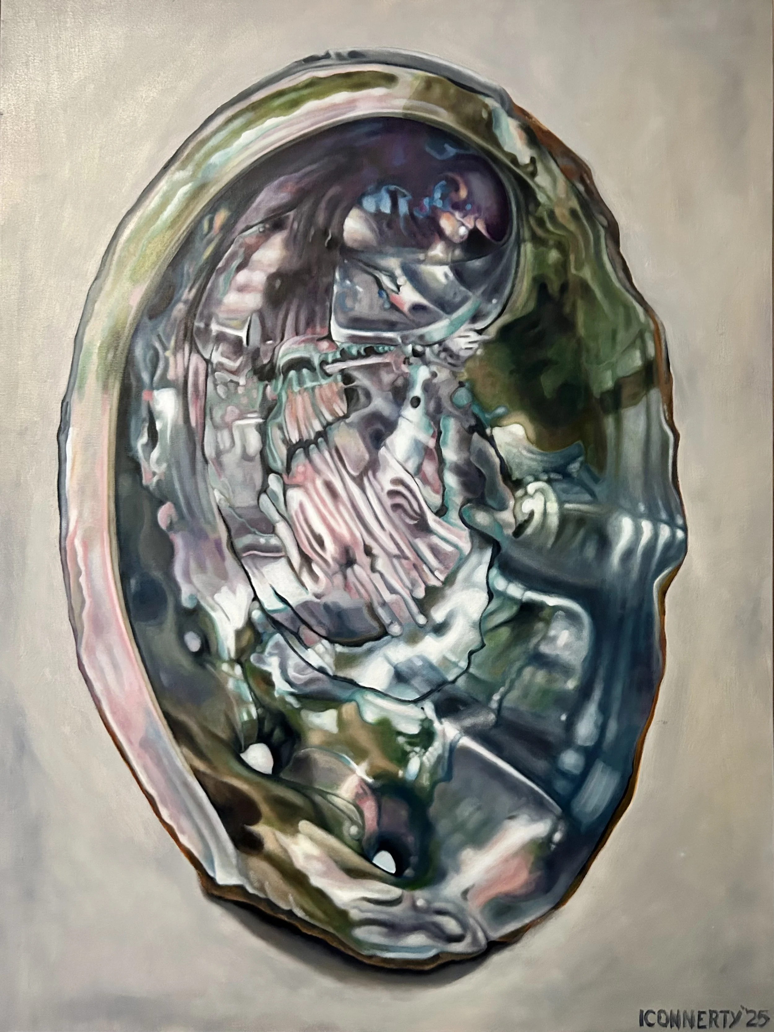 Abalone #2, 2025
Oil on Canvas, 48" x 36"