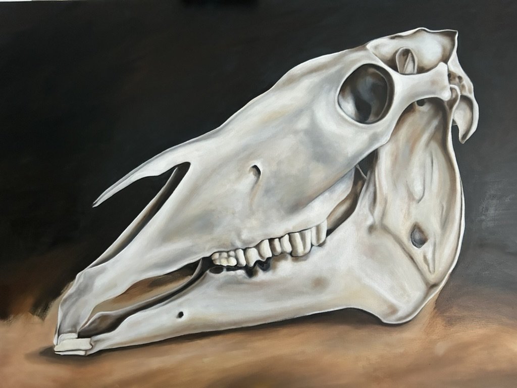 Found Horse Skull, 2025
Oil on Canvas, 30" x 40"