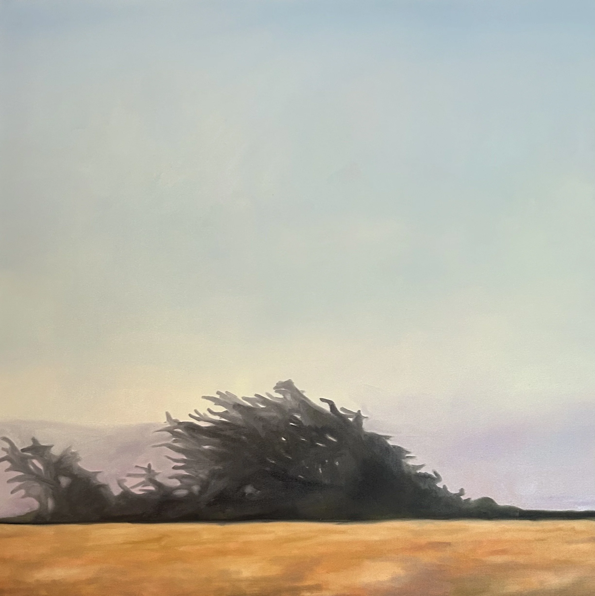 Mendocino Study, 2026
Oil on Canvas, 36" x 36"
