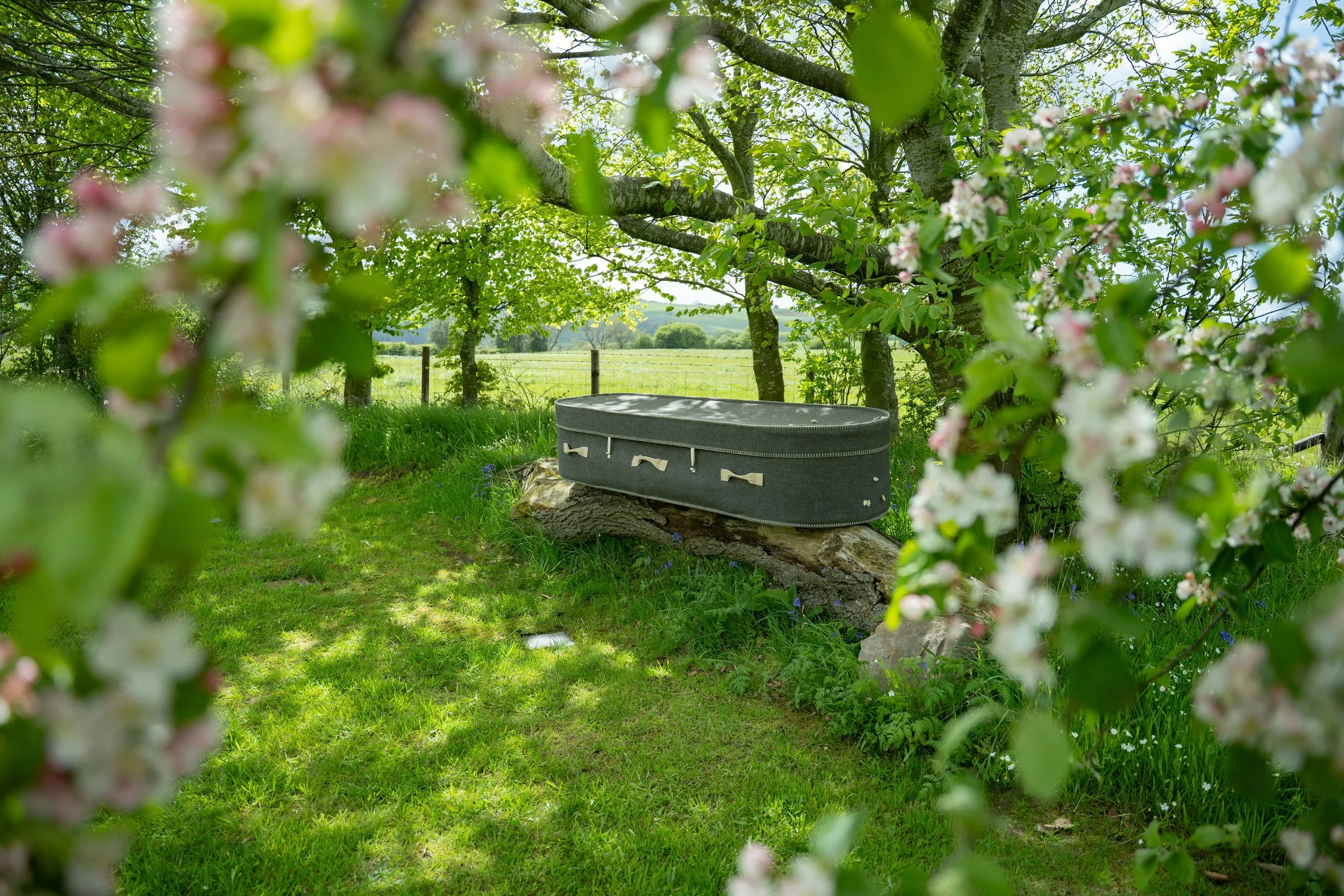 A green field with trees, a fence, and blue sky in the background, with a rock and a black musical instrument case resting on the ground in the foreground.