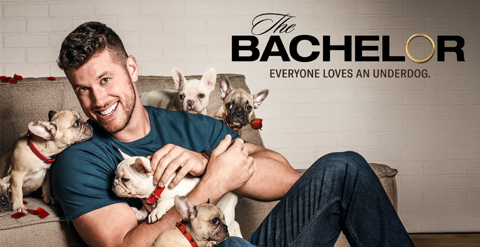 HeroImage_Bachelor_S26-936x482-1.png