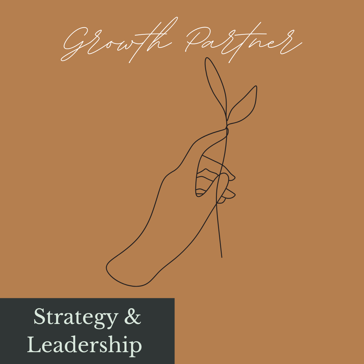 Growth Partner