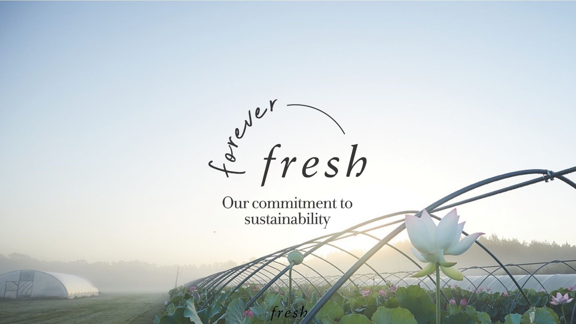 Developing a Long-Term Brand Strategy for a Category Leader