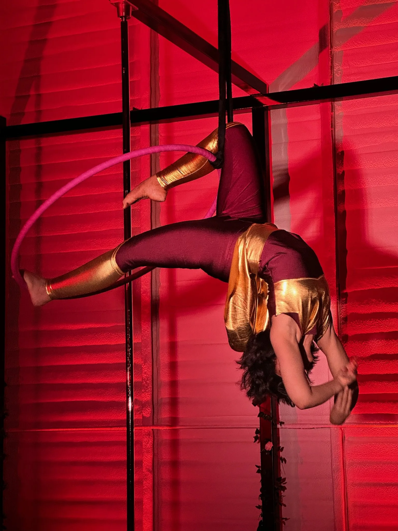 A woman is posing upside-down on an aerial hoop in a gold and burgundy costume, with red lighting.