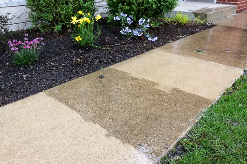 A sidewalk with freshly washed sections, adjacent to a flower bed with pink, yellow, and purple flowers, and green bushes in the background.