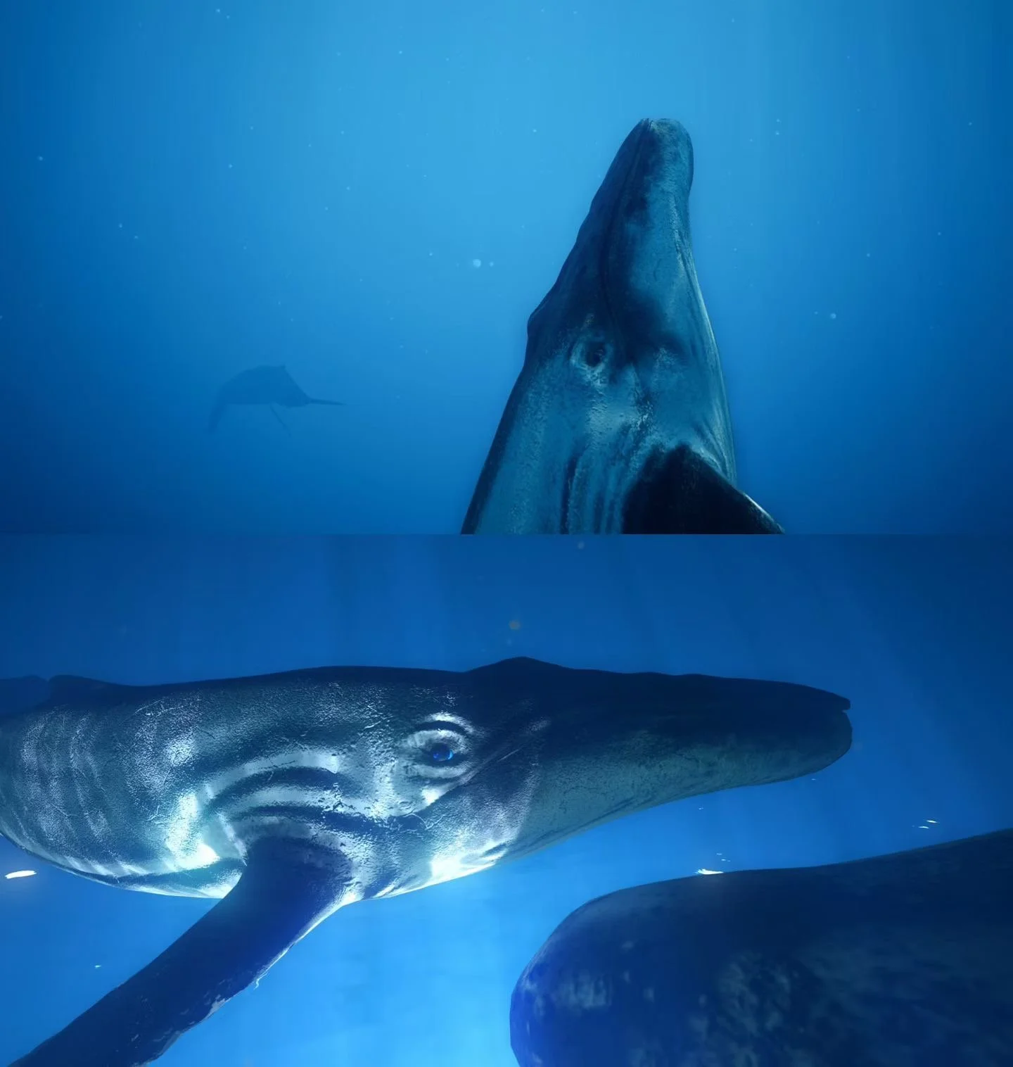In the Wake of the Whales — project artwork