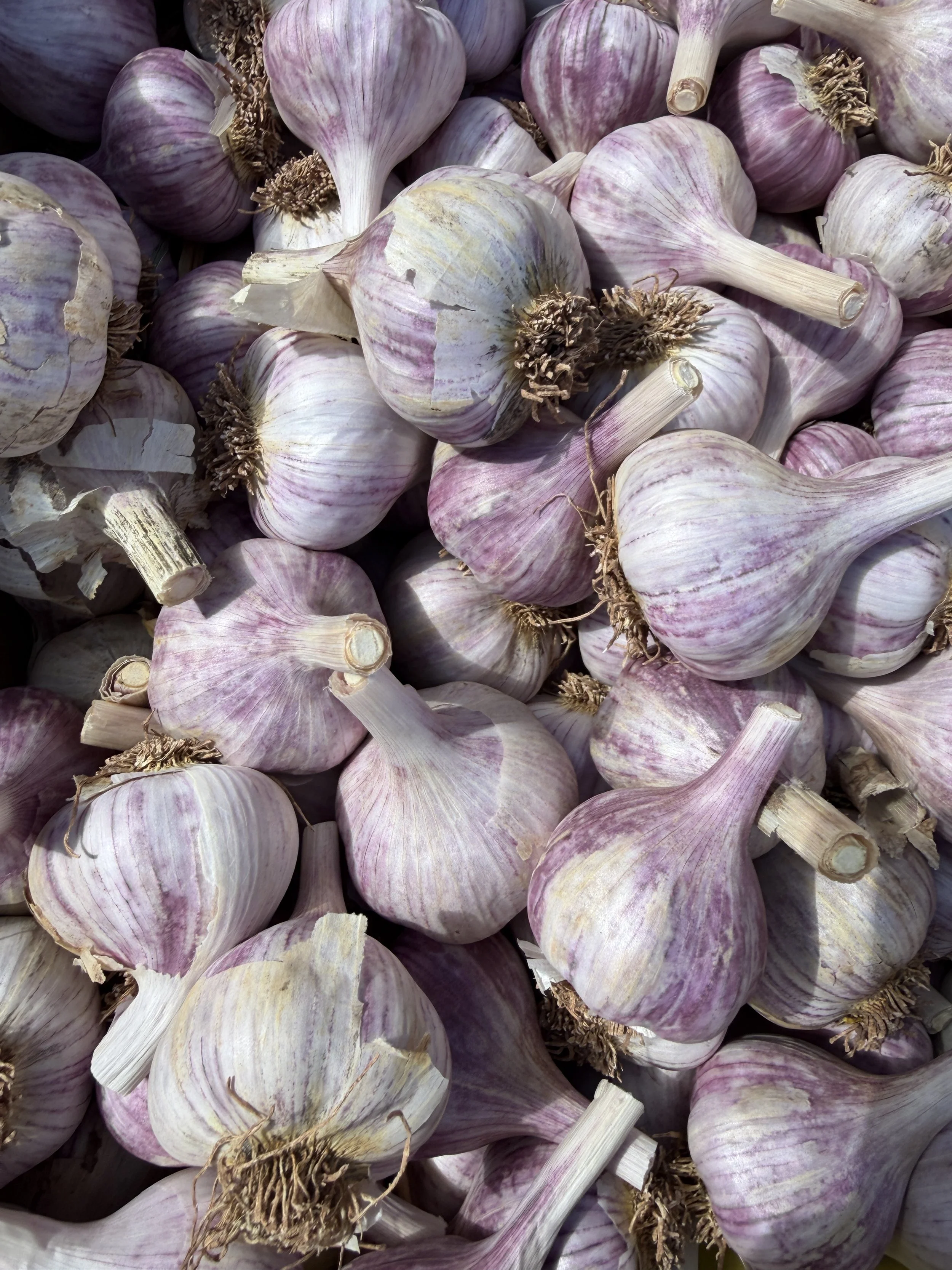 Farm Market List Saturday June 27, 2026