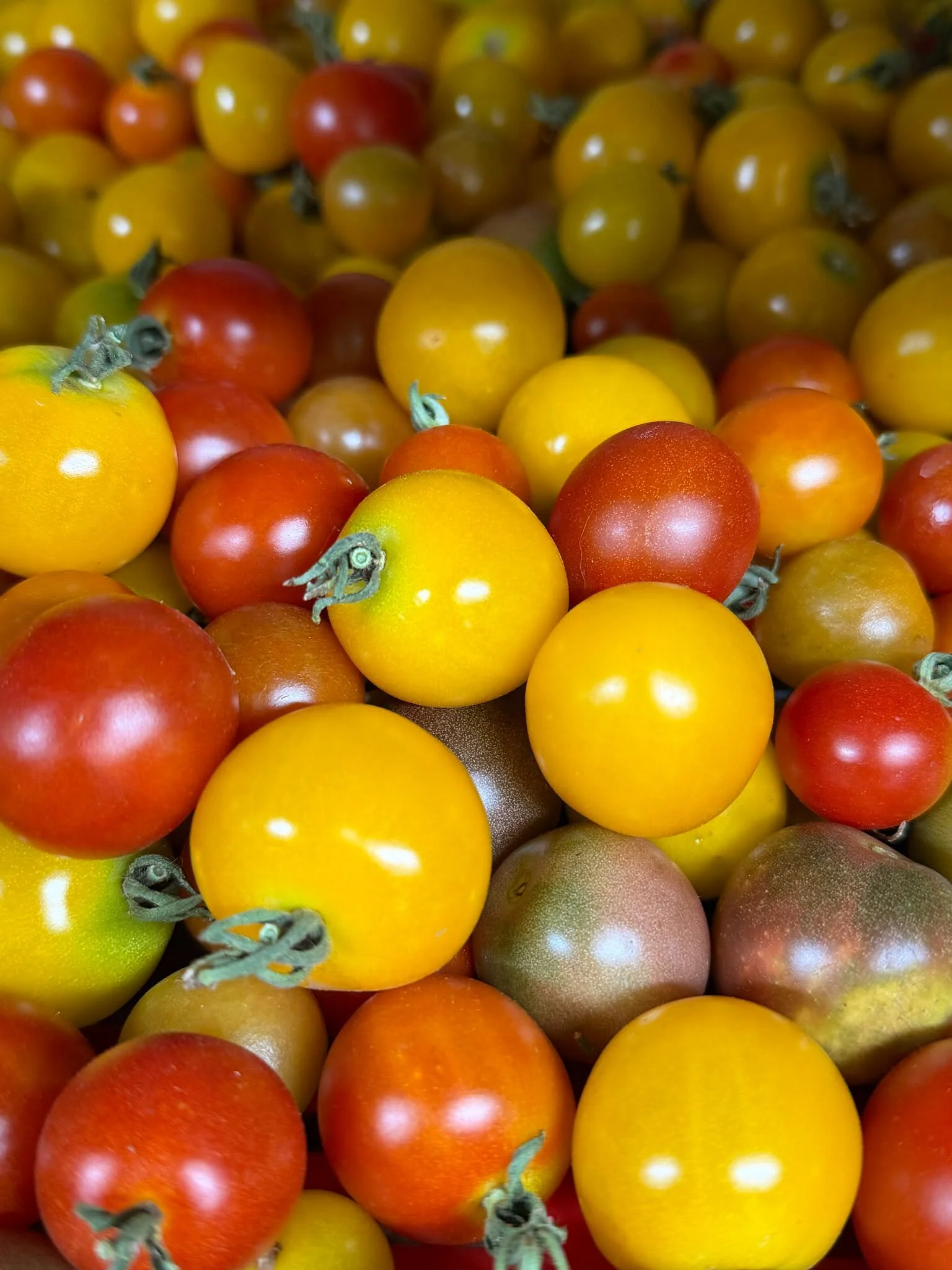 HawkMoth Farm Market List - Saturday July 4, 2026