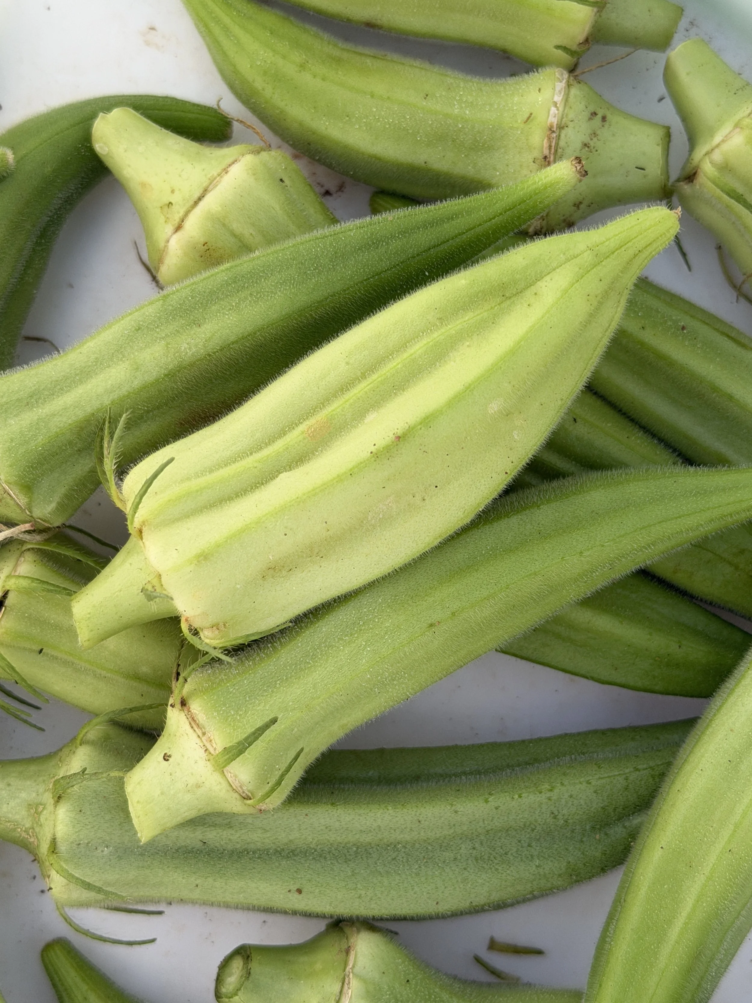 HawkMoth Farmers Market List - Saturday August 22, 2026