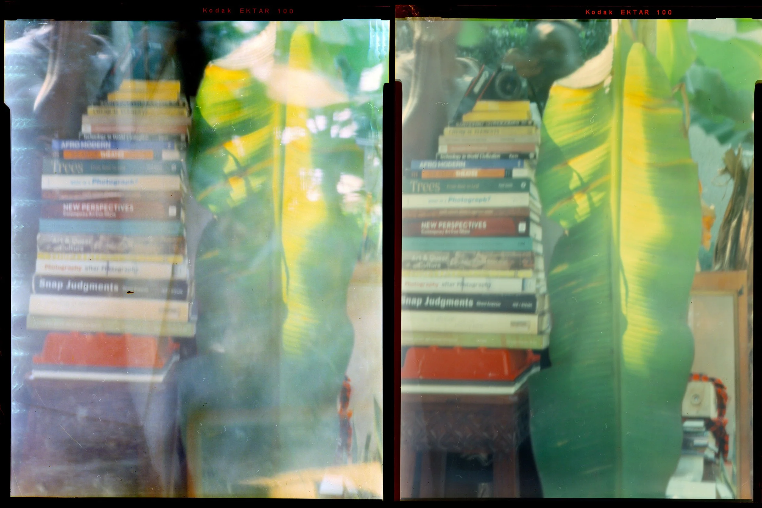 Two almost identical photographs side by side, showing a stack of books next to a bright green plantain leaf. The right image is a control image, and the left image appears to be multiple-exposed with a faint overlay of surrounding objects.