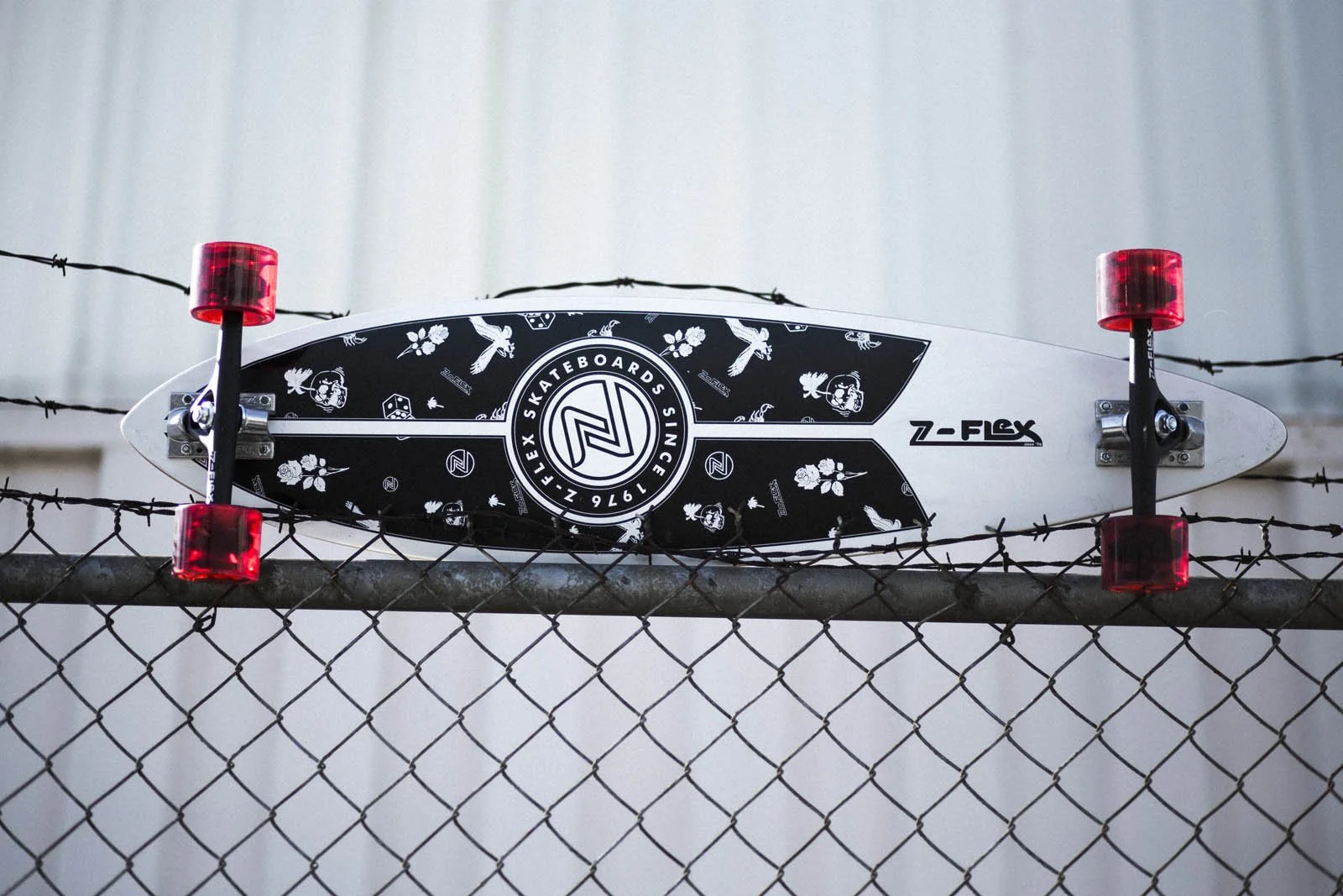 Zflex_SP18-423.jpg