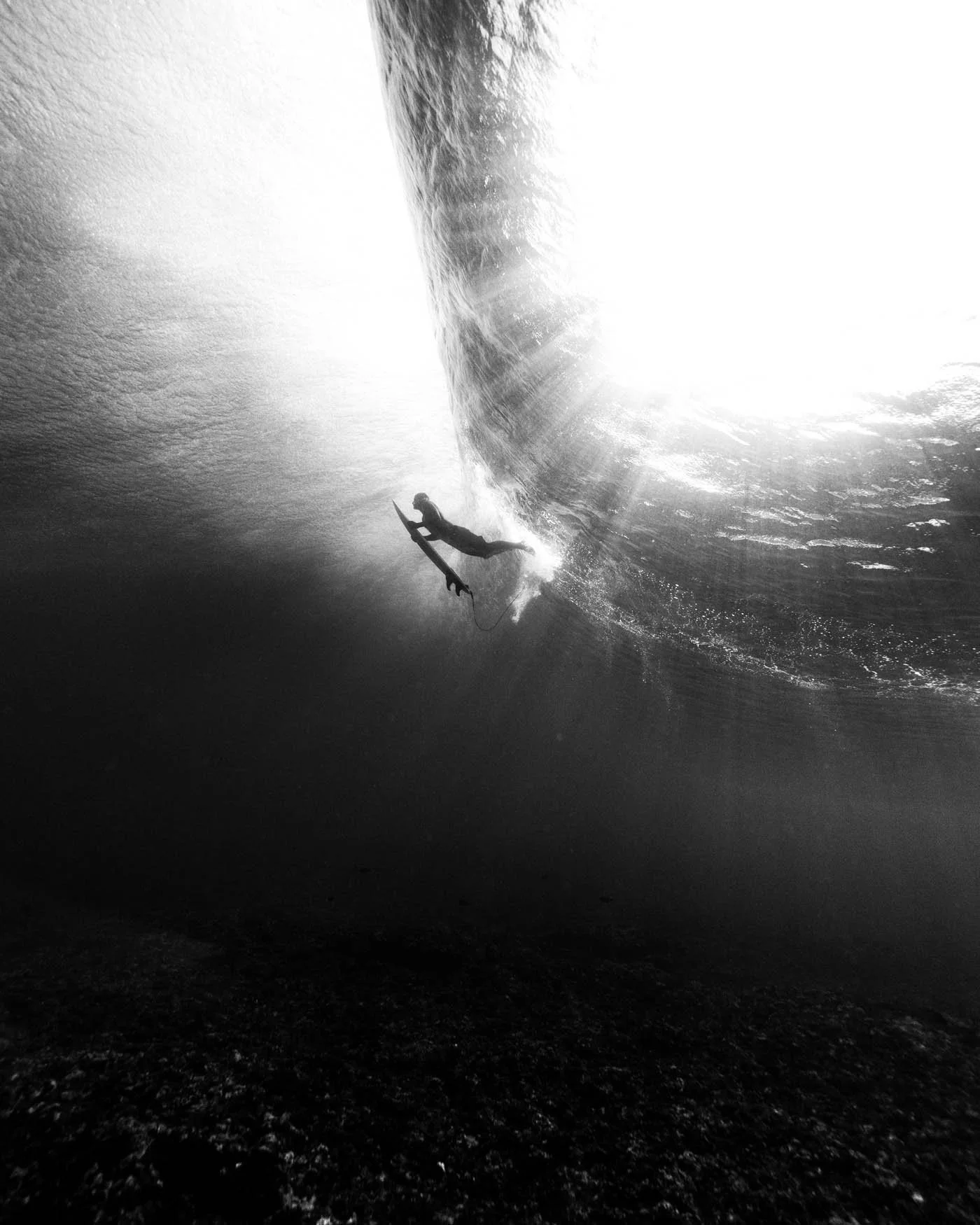 glasert_20240605_Tahiti_1125.jpg