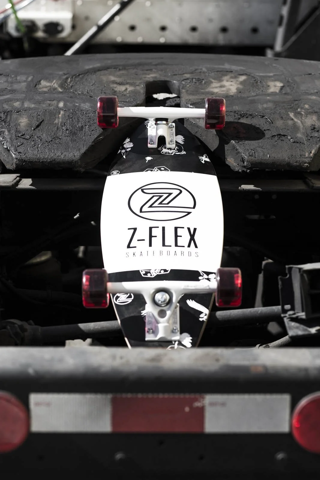 Zflex_SP18-029.jpg