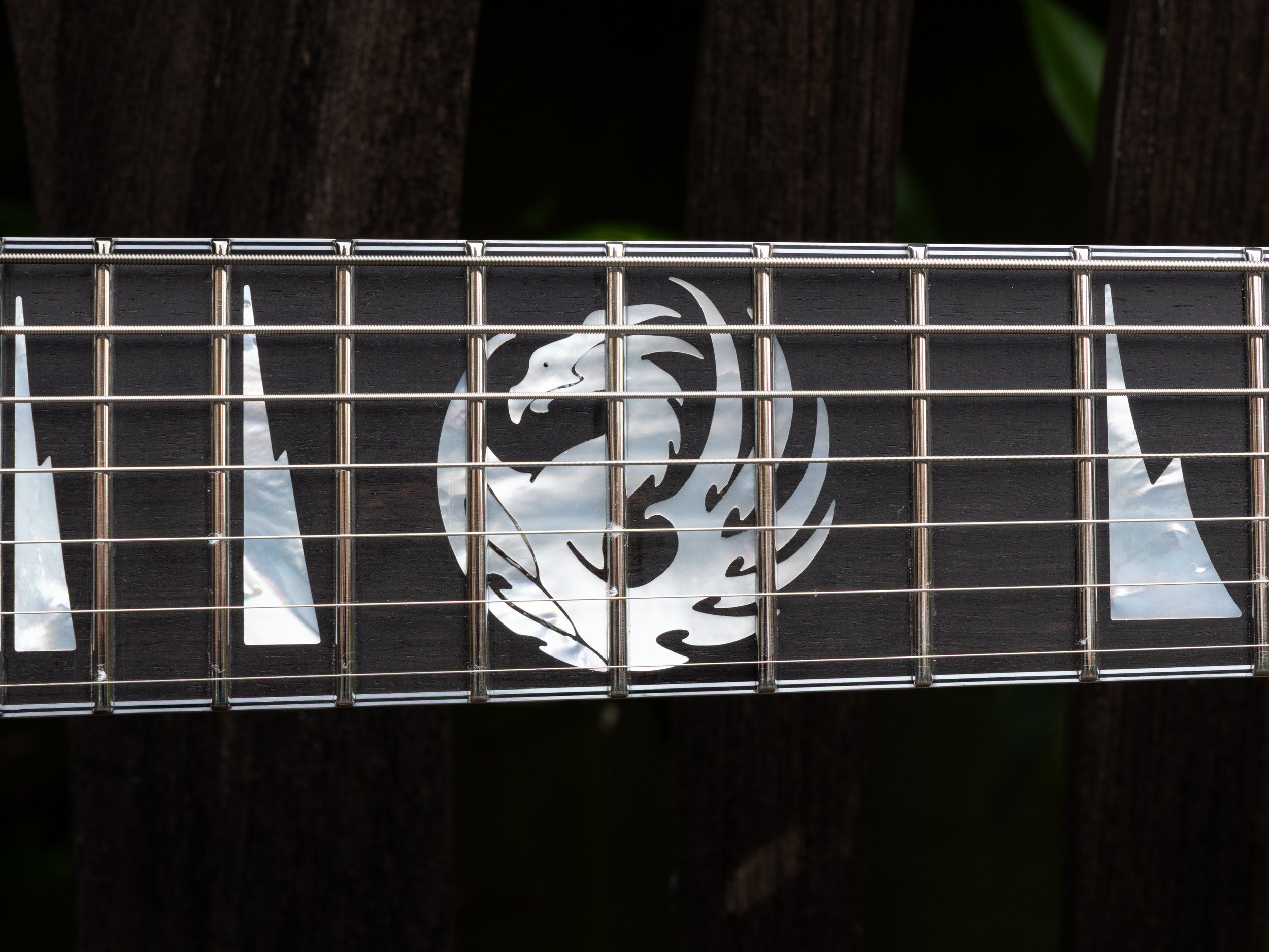 Close-up of a guitar neck with metal frets and a black pickguard featuring a white skull graphic design.