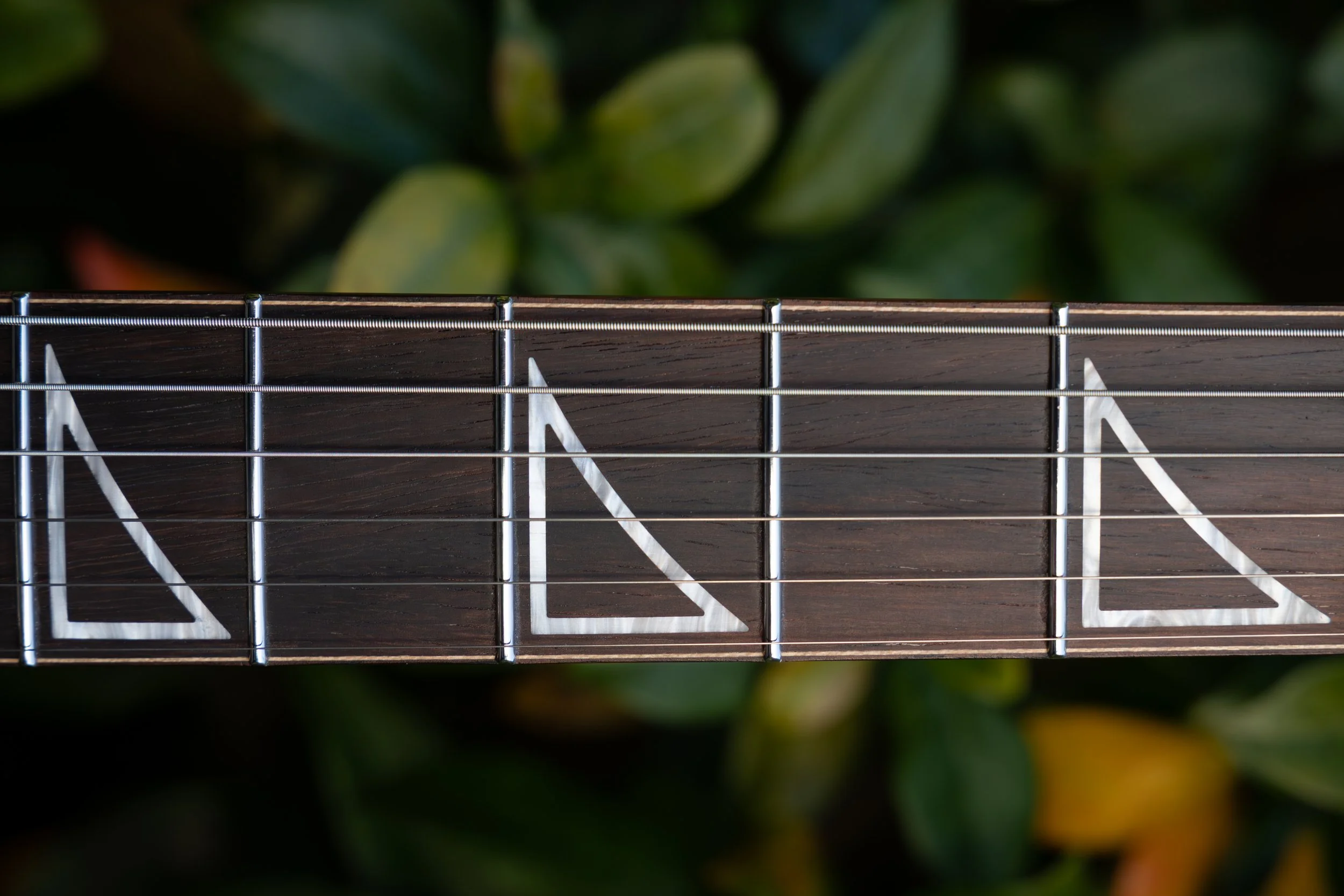 Close-up of a guitar's fretboard with metal frets and white inlays, blurred green foliage in the background.