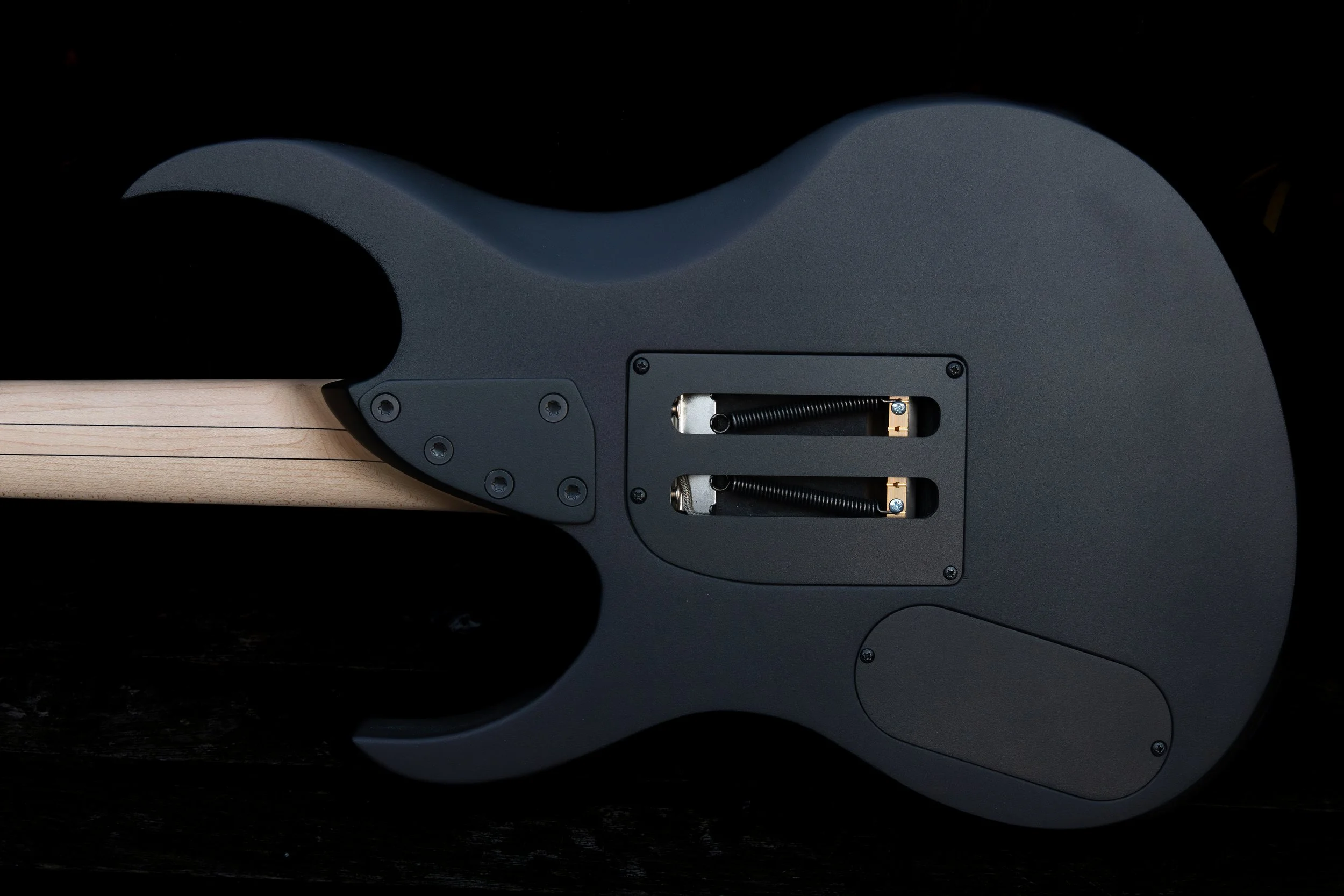 Close-up of the back of an electric guitar with the neck removed, showing the electronics cavity and spring-loaded tremolo system.