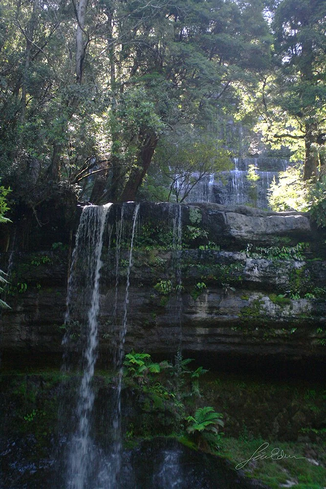 Waterfalls in Mount Field national park. Tasmania, Australia