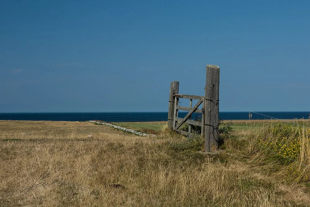 "Gate to the wide open". Island of Öland, Sweden