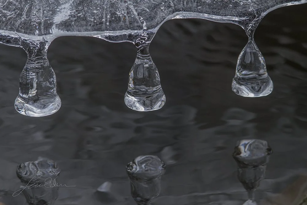 "Ice drops". Ice formations formed during the alternating melting and freezing during early spring in Sweden