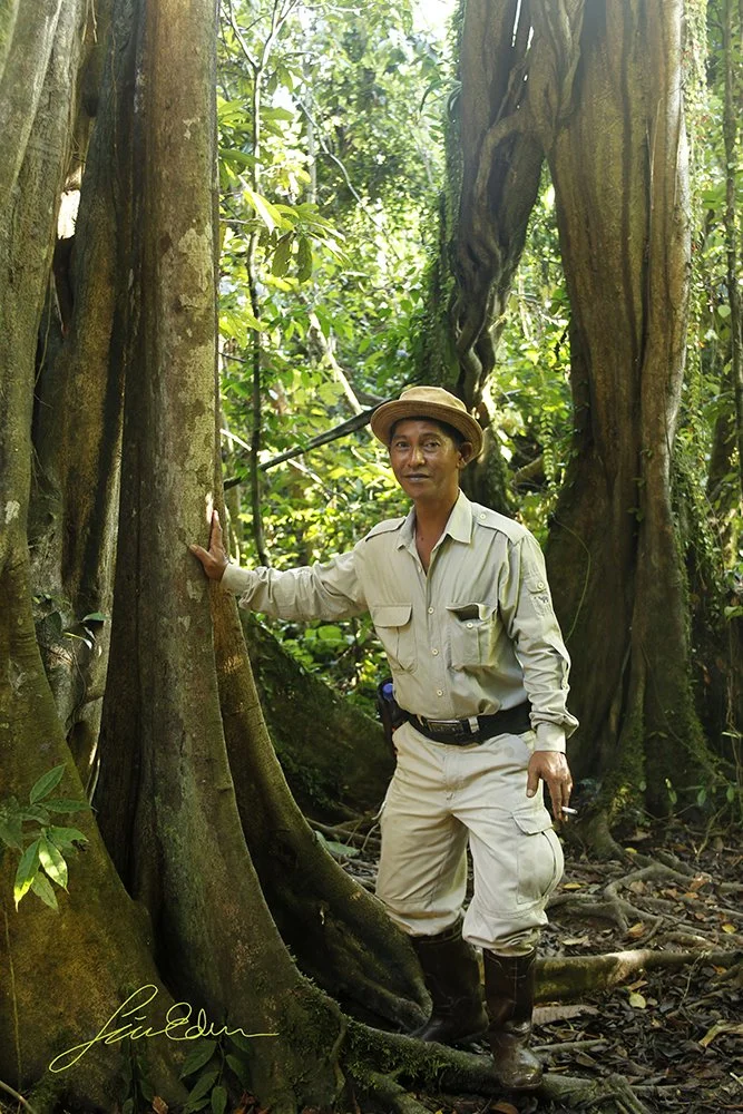 "The guardian of the forest." A local of Sukau and also a wildlife guide, in one of the few patches of pristine primary Bornean rainforest left to see. Not everybody is allowed to enter, but as a volunteer I was. Sabah, Borneo, Malaysia   