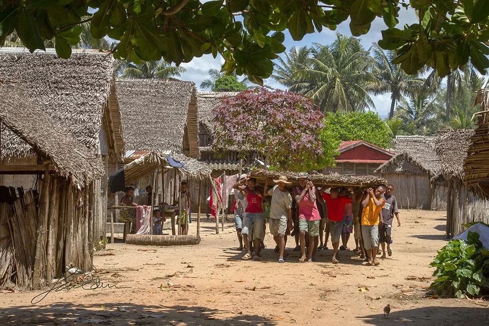 A new roof is carried along a road in Manafiafy.