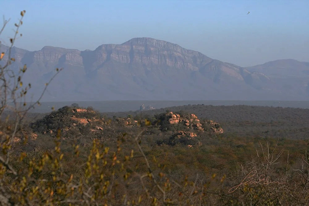 Limpopo landscape, South Africa