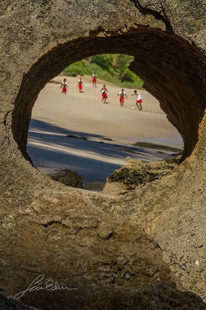 fotball on nature's television larger.jpg