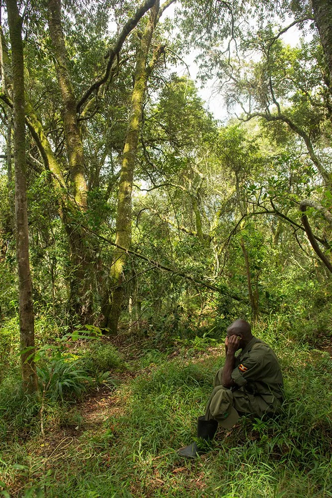 "A Bwindi park ranger taking a well deserved rest", Bwindi impenetrable national park, Kisoro, Uganda