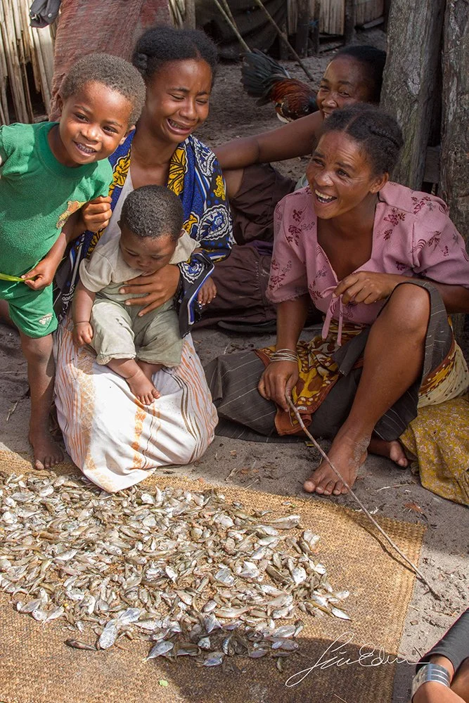 The catch of the day is layed to dry.