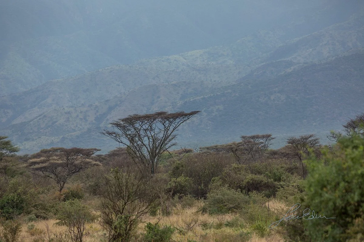 omo national park.jpg